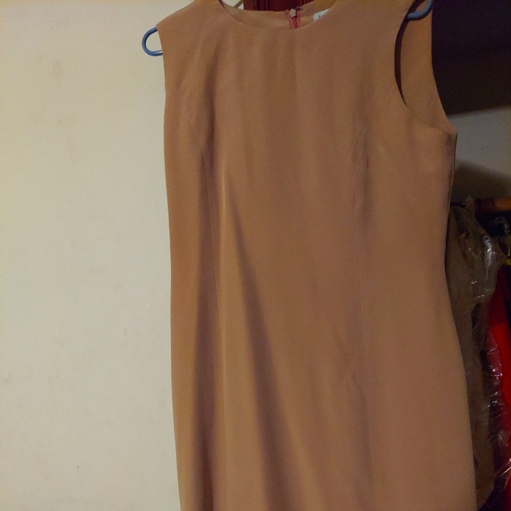 Anne Taylor tan silk dress